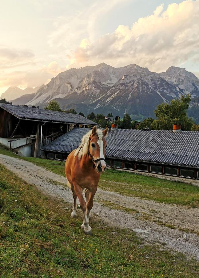 Burglehnerhof Aparthotel Ramsau am Dachstein Exterior foto